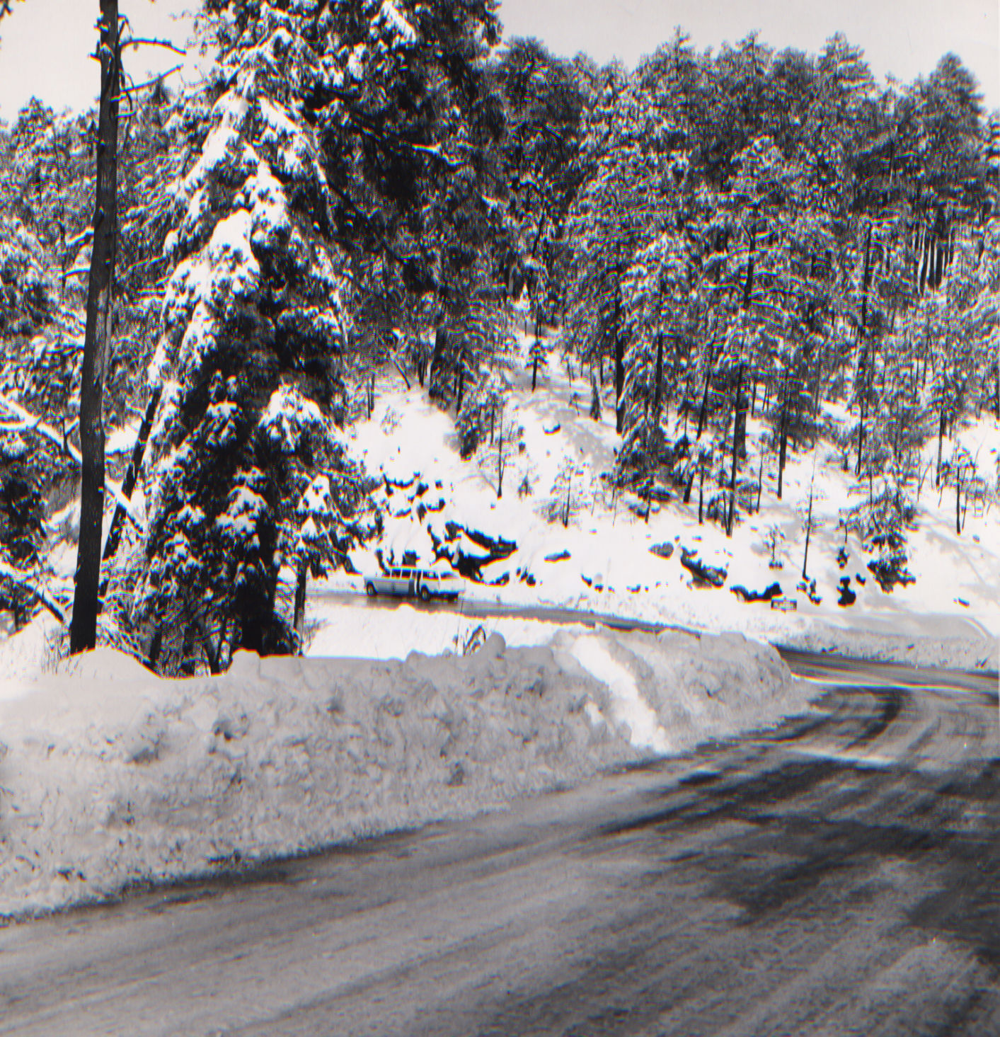 Snow on Mt. Lemmon